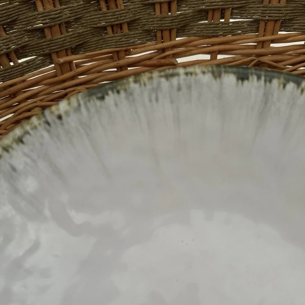 TOMMY BAHAMA MELAMINE WATERCOLOR SEASHELL EDGE CEREAL SOUP‎ BOWL